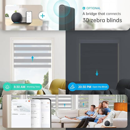 DENFOON Motorized Zebra Blinds, Solar Powered Dual Layer Automatic Shades with Remote Control, Rechargeable Smart Blinds Horizontal Wireless Electric Shades for Windows. Gray， 32 x 72