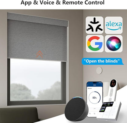 Motorized Light Filtering Roller Shades – Smart Electric Blinds for Living Room, Alexa Google Home Siri, Matter Compatible, Custom Window Shades, Cordless Rechargeable