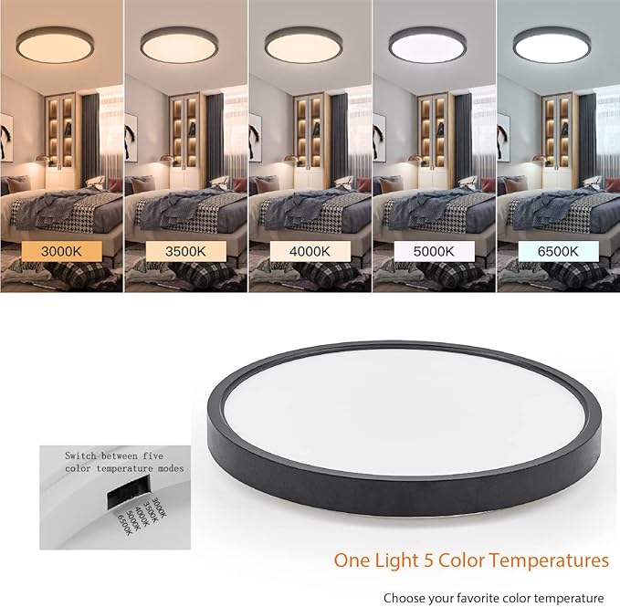 TALOYA Dimmable Flush Mount Ceiling Light,15.8Inch,24W,5 CCT,LED Ceiling Light Fixture for Bedroom,Kitchen,Living Room,Black
