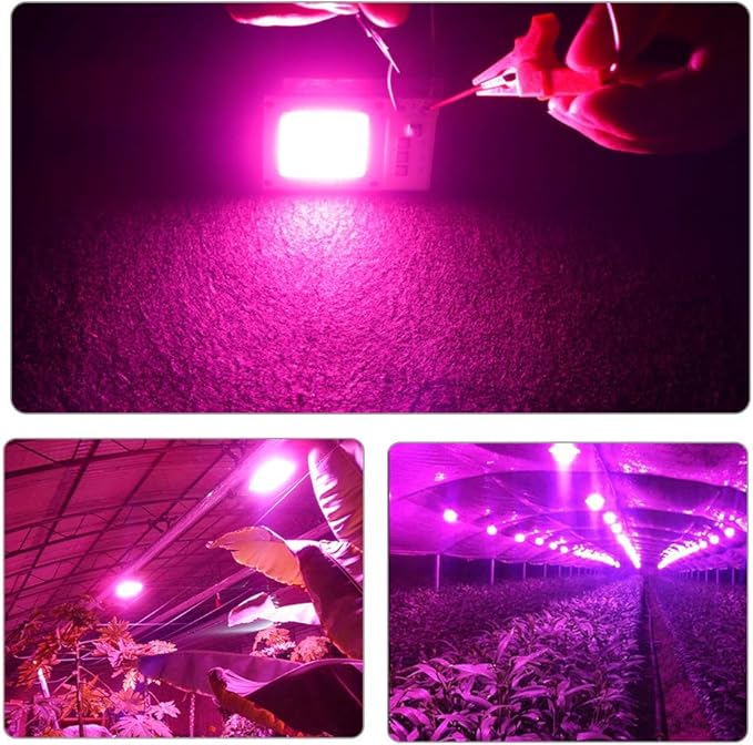 Fengyan Home Bulbs LED Grow Light Full Spectrum LED Phyto Lamp 10W 20W 30W 50W COB Fitolampy Smart IC LED Diode Matrix Growing Lamp Household Lamp (Emitting Color : RGB, Wattage : 110V)