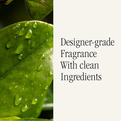 Pura Malodor Scent Refill - Smart Home Air Diffuser - Long-Lasting Premium Fragrance per Refill - Clean Diffuser Fragrance - Air Deodorizer & Odor Eliminator - 2 Pack, Water Lily