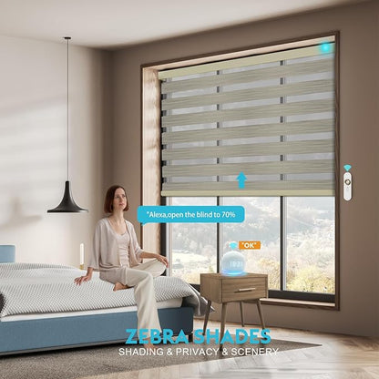 Motorized Zebra Blinds with Remote Smart Blind Work with Homekit Alexa SmartThings Electric Day and Night Shade Cordless Automatic Solar Powered Window Shade Customize(Carbon Coffee)