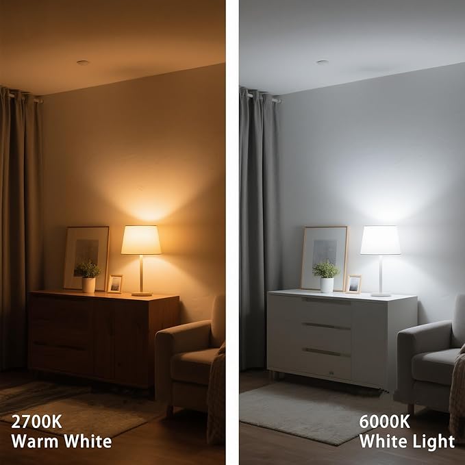 Dimmable LED Light Bulbs with Remote, E26 Base Remote Control Light Bulb Dimmable 2700K-6000K, ST64 Vintage Edison Bulbs for Lamp, 2 Pack (2 Bulbs+1 Remote)