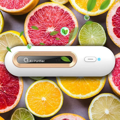 Odor Fridge Deodorizer Refrigerator Deodorizer Portable Odor Deodorizing Machine Fridge Electronic Purifier for Food Fresh