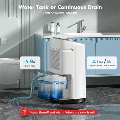 80 Pint Dehumidifier for Basement, 50 Pint DOE, Drain Hose, 5000 Sq Ft