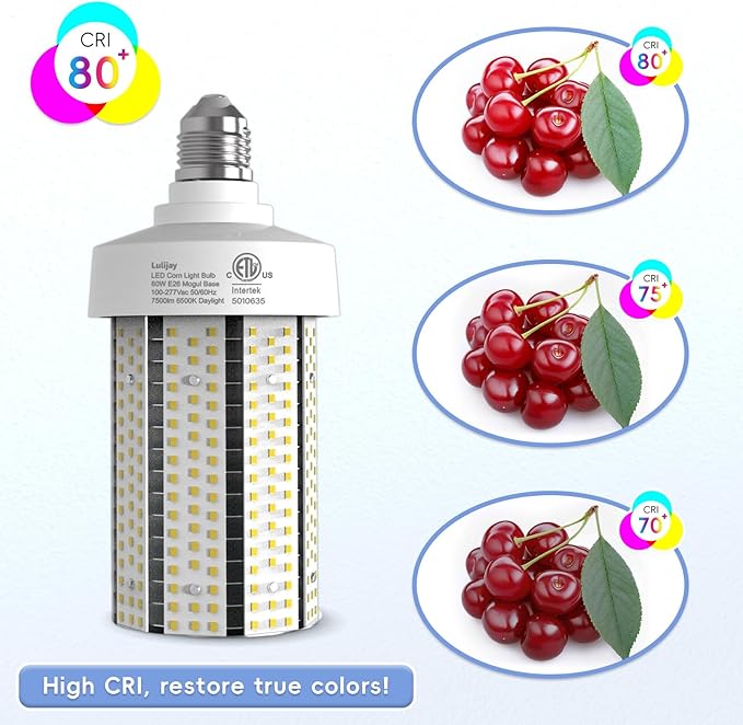 Led Corn Light Bulb - 60W Bright led Light Bulbs Equivalent 600Watt, E26 Base(with E39 convertor) for Garage, Warehouse, Factory, Illuminating Large Areas, Parking Lots (60W 6500K 2pack)
