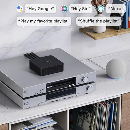 WiiM Pro Plus Music Streamer for Stereo Systems, Modernize Your Hi-Fi