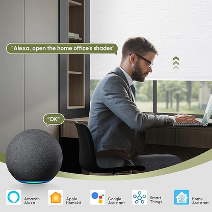 FineTell Motorized Blinds with Remote, 100% Blackout Roller Shades Compatible with Alexa,Apple Homekit,Google Home APP and Voice Control, Customized Electric Blinds (100% Blackout Elegant White)