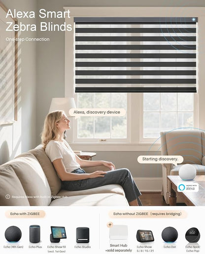 Smart Zebra Blinds for Windows, Alexa Motorized Blinds with Remote Control, Automatic Electric Power Zebra Shades for Indoor Windows (29" W x 72" H, Black)