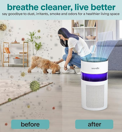 SereneLife Portable Air Purifier | Small Air Purifier For Home, Allergies, Pet Hair & Bedrooms | Filter Change Reminder & Aroma Box | Filtration Removes Dust, & Smoke Odor | Timer & Sleep Mode | White