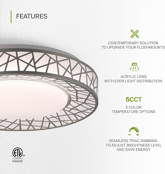 ASD 12 Inch LED Flush Mount Ceiling Light - Brushed Nickel Modern Ceiling Light Fixture 20W 1113LM, 2700-5000K Adjustable Small Ceiling Lights for Kitchen, Bedroom, Hallway, Closet, ETL