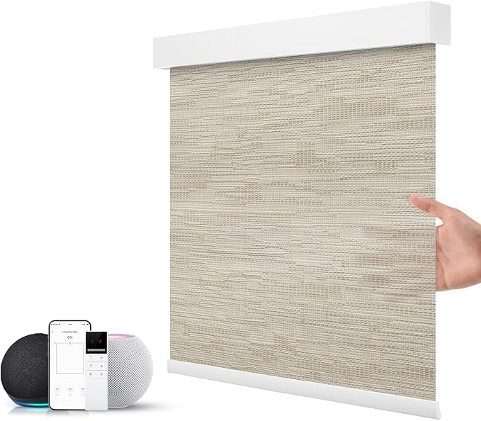 ZSTARR Motorized Smart Light Filtering Blind for Window with Remote Control, Automatic Blackout Roller Shade Customizable Size,with Valance Child Safety Rechargeable Battery Blinds (Light Khaki)