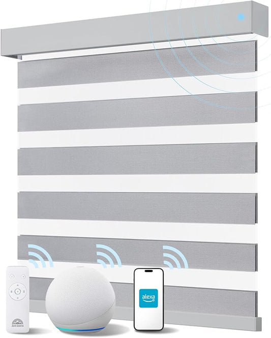 Smart Zebra Blinds for Windows, Alexa Motorized Blinds with Remote Control, Automatic Electric Power Zebra Shades for Indoor Windows (20" W x 72" H,Gray)
