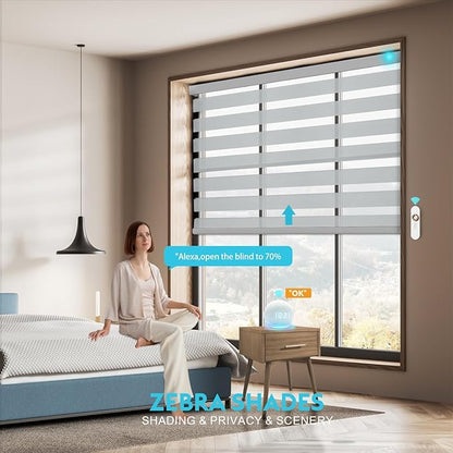Motorized Zebra Blinds with Remote Smart Blind Work with Homekit Alexa SmartThings Electric Day and Night Shade Cordless Automatic Solar Powered Window Shade Customize(Grey)