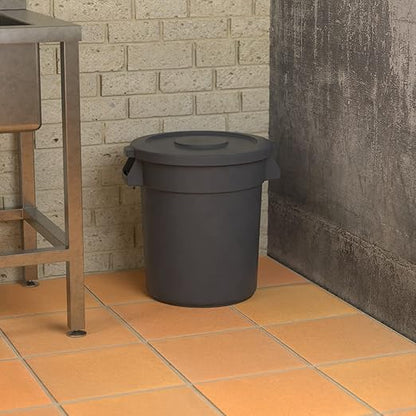 20 Gallon Gray Round Commercial Trash Can with Lid, Heavy-Duty Food Grade NSF Certified, Perfect for Restaurant, Office, School, Garage, Backyard, Workshop, Warehouse