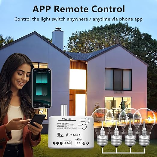 EWeLink 1CH Wireless Smart Switch AC85V-250V Smart WiFi Relay Switch Module, Bluetooth Network, Compatible with Alexa Google Home