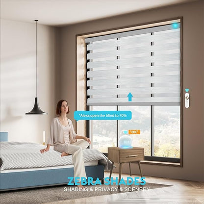 Motorized Zebra Blinds with Remote Smart Blind Work with Homekit Alexa SmartThings Electric Day and Night Shade Cordless Automatic Solar Powered Window Shade Customize(Luxury Grey)