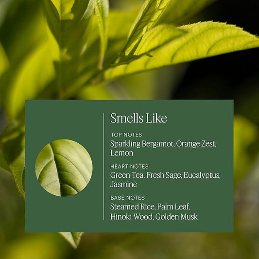 Aera Kyoto Teahouse Smart Home Fragrance Scent Refill – Green Tea & Citrus Fragrance – Lasts Up to 60 Days – Works with The Aera Diffuser