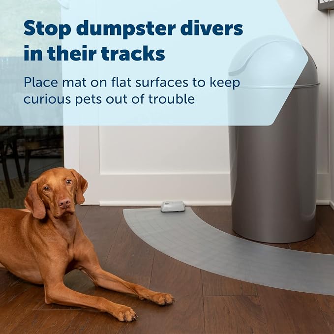 PetSafe ScatMat Indoor Training Mat