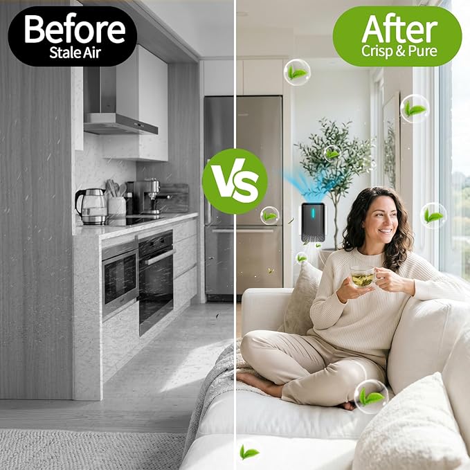 2026 Plug in Air Purifiers Air Ionizers for Dust Mites, Odor Eliminator for Home With Negative Ion Generator, Quiet Mini Air Freshener for Bedroom,Kitchen, Office, Portable Air Ionizer Smoke & Dust(6)