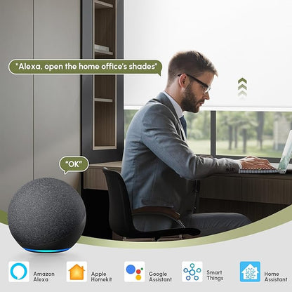 FineTell Motorized Blinds with Remote, 100% Blackout Roller Shades Compatible with Alexa,Apple Homekit,Google Home APP and Voice Control, Customized Electric Blinds (100% Blackout Pure White)