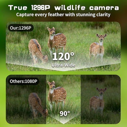 Cellular Trail Camera Subscription-Free, 4G LTE Cam, 1296P HD, 60MP, Low-Glow IR Night Vision, Fast Trigger Speed, Long Battery Life & 32GB SD for Wildlife Monitoring & Property Security