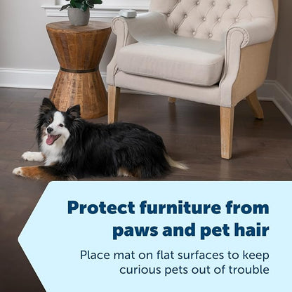 PetSafe ScatMat Indoor Training Mat