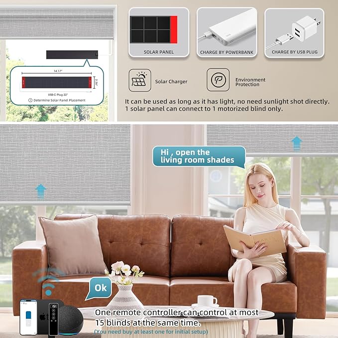 SmartWings Motorized 100% Blackout Shades Blinds, Custom Size, Cordless Window Shades with Rechargeable Battery, Works with Matter/Apple HomeKit, Alexa, Thread/Zigbee, Remote Optional, Safar Smoke