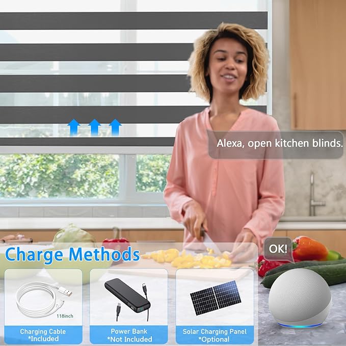 Motorized Zebra Blinds for Windows Cordless Electric Curtains with Remote Control Blackout Shades Custom Smart Blinds Compatible with Alexa Google Home(Light Filtering Black,W39 X 72in)
