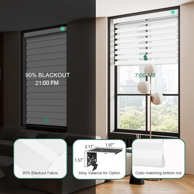 Motorized Zebra Blinds with Remote [Dual Layer + Light Filtering] 90% Blackout Smart Shades for Indoor Windows, Alexa Google and HomeKit Compatible, Customized Size, Shadow Slate
