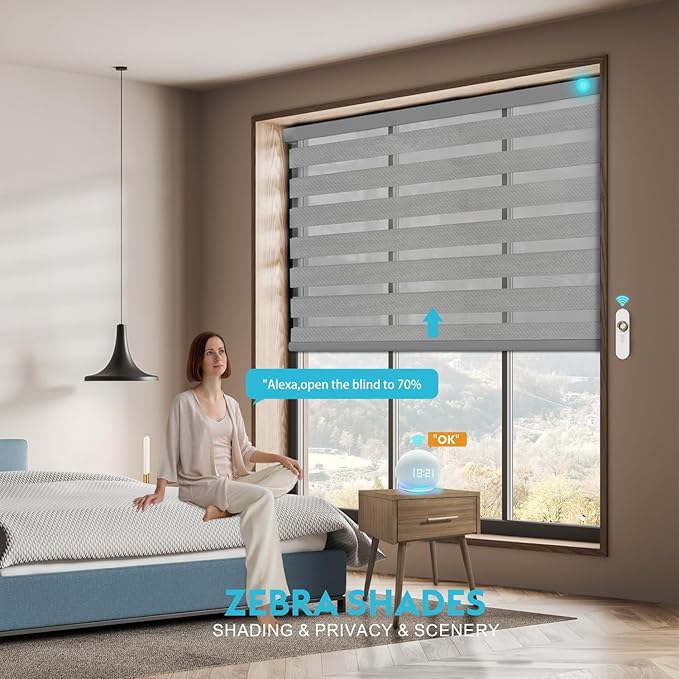 Motorized Zebra Blinds with Remote Smart Blind Work with Homekit Alexa SmartThings Electric Day and Night Shade Cordless Automatic Solar Powered Window Shade Customize(Carbon Grey)