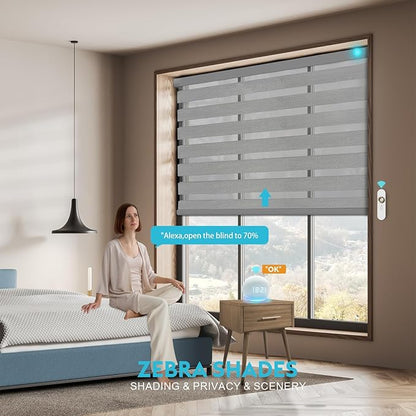 Motorized Zebra Blinds with Remote Smart Blind Work with Homekit Alexa SmartThings Electric Day and Night Shade Cordless Automatic Solar Powered Window Shade Customize(Carbon Grey)
