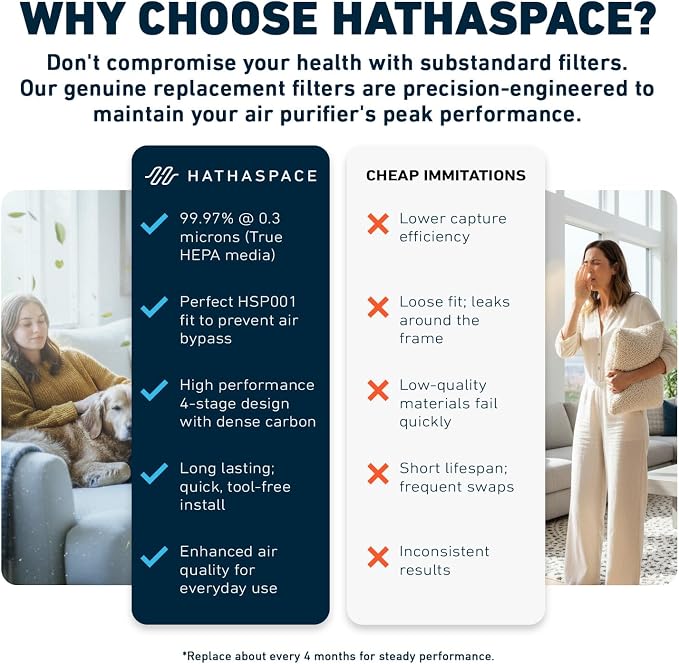 HATHASPACE HSP002 H13 HEPA Filter Replacement