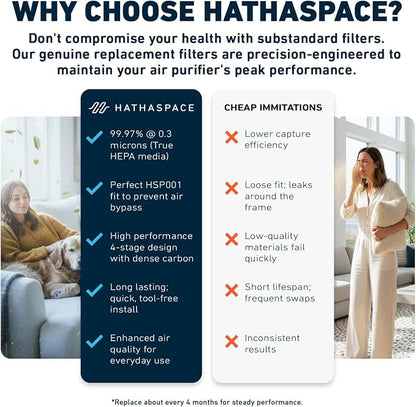 HATHASPACE HSP002 H13 HEPA Filter Replacement