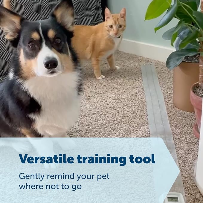 PetSafe ScatMat Indoor Training Mat