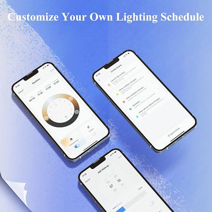 DiCUNO Smart Edison Bulb A19, Color Changing WiFi Smart Light Bulb, Vinatge A60 Filament Bulb Compatible with Alexa & Google, Dimmable with App, 50 Watt Equivalent 450LM, No Hub Required, 1 Pack