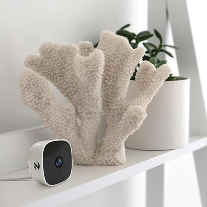 Night Owl Indoor Plug-in Wireless 1080p Deterrence Cameras with 2-Way Audio (2-Pack)