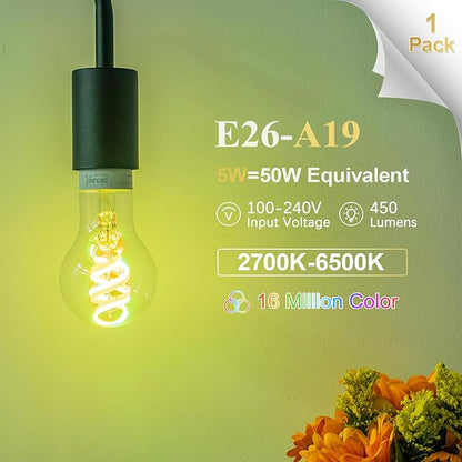 DiCUNO Smart Edison Bulb A19, Color Changing WiFi Smart Light Bulb, Vinatge A60 Filament Bulb Compatible with Alexa & Google, Dimmable with App, 50 Watt Equivalent 450LM, No Hub Required, 1 Pack