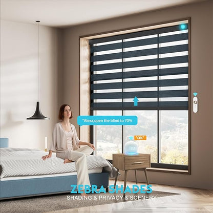 Motorized Zebra Blinds with Remote Smart Blind Work with Homekit Alexa SmartThings Electric Day and Night Shade Cordless Automatic Solar Powered Window Shade Customize(Starry Dark Blue)