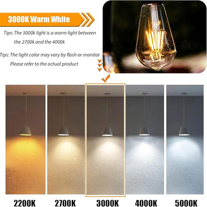 12 Pack Dimmable LED Edison Bulbs 40W Equivalent,4 Watt Filament Bulb,3000K Warm White ST19 Light Bulb,450LM E26 Vintage for Ceiling Fixtures