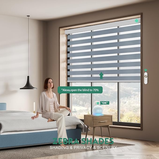 Motorized Zebra Blinds with Remote [Dual Layer + Light Filtering] 95% Blackout Smart Shades for Indoor Windows, Alexa Google and HomeKit Compatible, Customized Size, Equinox Silver