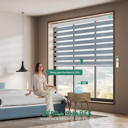 Motorized Zebra Blinds with Remote [Dual Layer + Light Filtering] 95% Blackout Smart Shades for Indoor Windows, Alexa Google and HomeKit Compatible, Customized Size, Equinox Silver