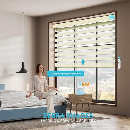 Motorized Zebra Blinds with Remote, Work with HomeKit Alexa, Smart Light Filtering Horizontal Automatic Electric Window Shades for Home Office Customsize(50% Blackout Drumbeat Beige)