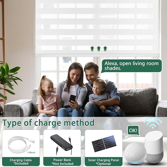 Motorized Zebra Blinds for Windows Cordless Electric Curtains with Remote Control Blackout Shades Custom Smart Blinds Compatible with Alexa Google Home(Light Filtering White,W49 X 72in)