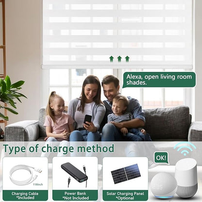 Motorized Zebra Blinds for Windows Cordless Electric Curtains with Remote Control Blackout Shades Custom Smart Blinds Compatible with Alexa Google Home(Light Filtering White,W49 X 72in)