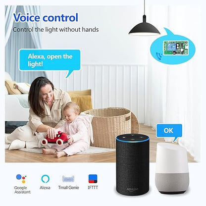 DieseRC 2x2 Channels WiFi Smart Switch with 1x Bluetooth Transmitter, DC 5V 12V 24V Passive Output Relay Module Ewelink APP WiFi Control Compatible with Alexa/Google Home, Inching/Self-Locking Switch