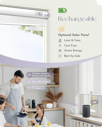 Graywind Motorized Solar Shades Light Filtering Mesh Shade Compatible with Alexa Google Remote Control Window Blinds with Valance for Smart Home Office Business, Custom Size (1% Openness White)