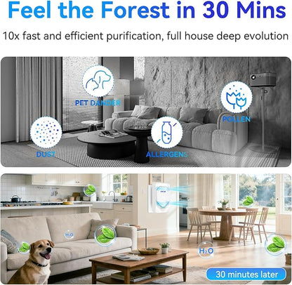 6Pack Air Ionizer for Home Negative Ion Air Purifier Plug In, Mini Filterless Air Freshener Quiet Air Cleaner Portable Air Purifiers Odors Smoke for Home Office, Bedroom, Bathroom