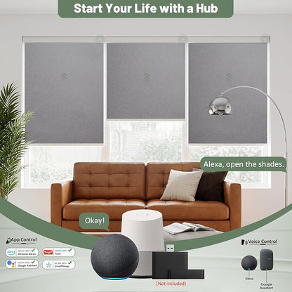 Motorized Blinds with Remote, Blackout No Drill Cordless Smart Roller Shades, Automatic Blinds for Windows, Grey,30" W x 72" H