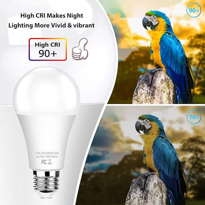 Brightever 6-Pack Dusk to Dawn LED Light Bulbs, A19 11W(100Watt Equivalent), E26 Basic Automatic On/Off, 1200LM, Daylight White 5000K Smart Sensor Lights, Outdoor for Porch Garage Yard Patio Garden